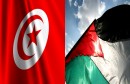 palestine_tunisia_450_3001
