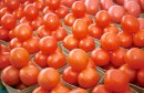 طماطم1