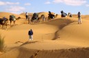 سياحة-صحراوية