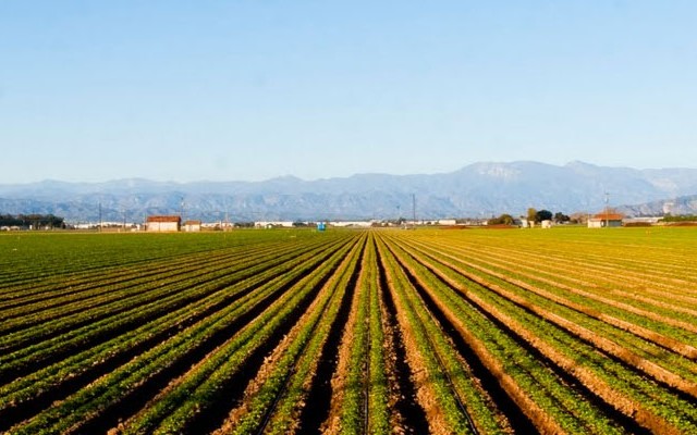 agriculture1