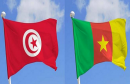 تونس و الكمرون